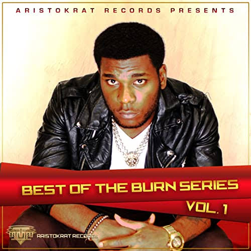 Burna Boy–Firewood MP3 Download